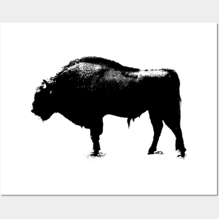 bison t-shirt Posters and Art